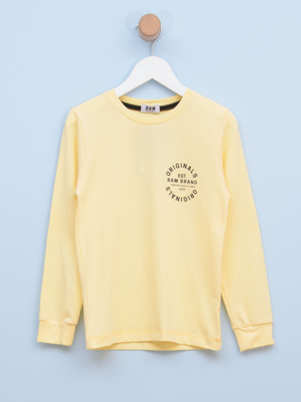 Majica za dečake 4071