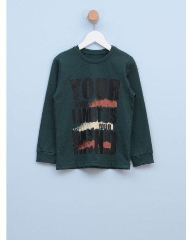 Majica za dečake 26/13