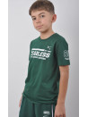Majica za dečake 42674