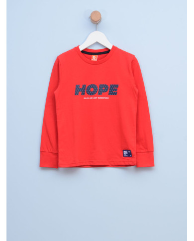 Majica za dečake 3044