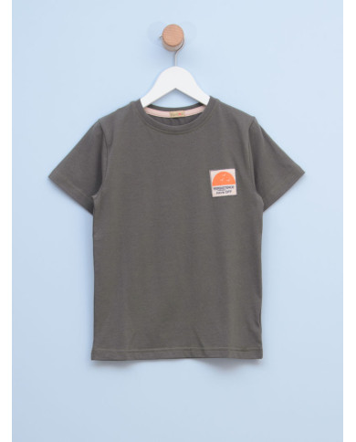 Majica za dečake 12062